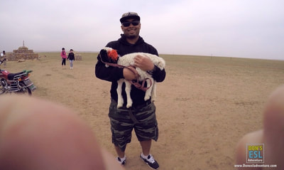 Lamb at Xilarumen Grasslands, Hohhot, Inner Mongolia | Don's ESL Adventure!