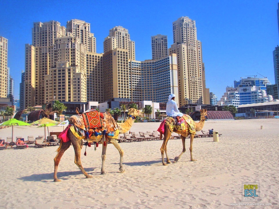 Dubai | Don's ESL Adventure!
