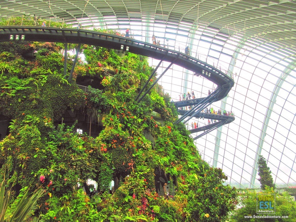 Gardens by the Bay, Singapore | Don's ESL Adventure!