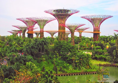 Supertree Grove, Gardens by the Bay, Singapore | Don's ESL Adventure!