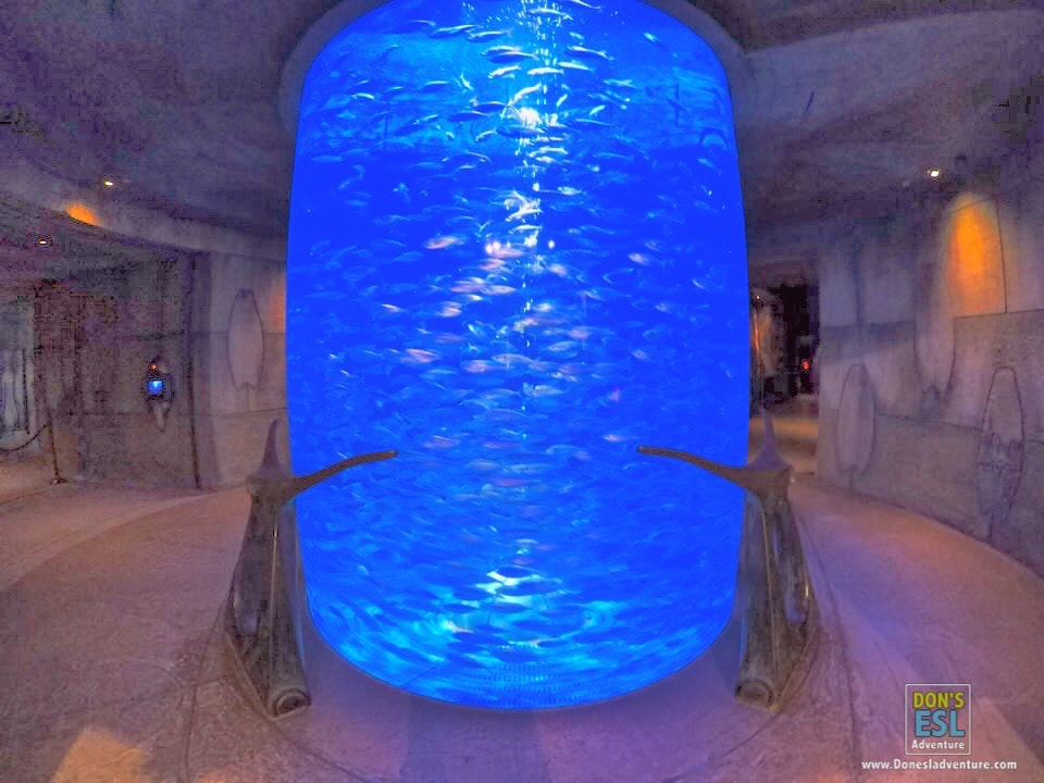 Day 2 in Dubai: Inside Atlantis the Palm's Lost Chambers Aquarium | Don's ESL Adventure! 