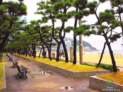 Haeundae Beach, Busan, South Korea | Don's ESL Adventure!