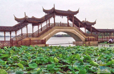 The 6 Best Places to Take Photos in Kunshan | Don's ESL Adventure!