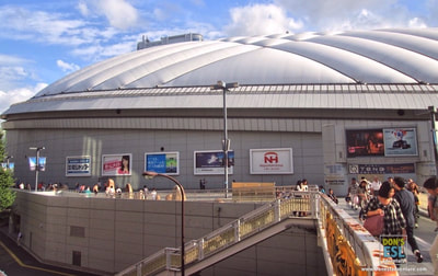 Tokyo Dome, Japan | Don's ESL Adventure!