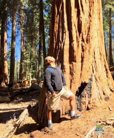 The World's Largest Trees at Sequoia National Park! | Don's ESL Adventure!