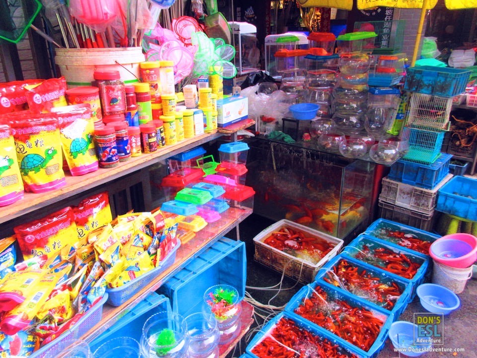 Pet & Flower Market in Pudong | Don's ESL Adventure!