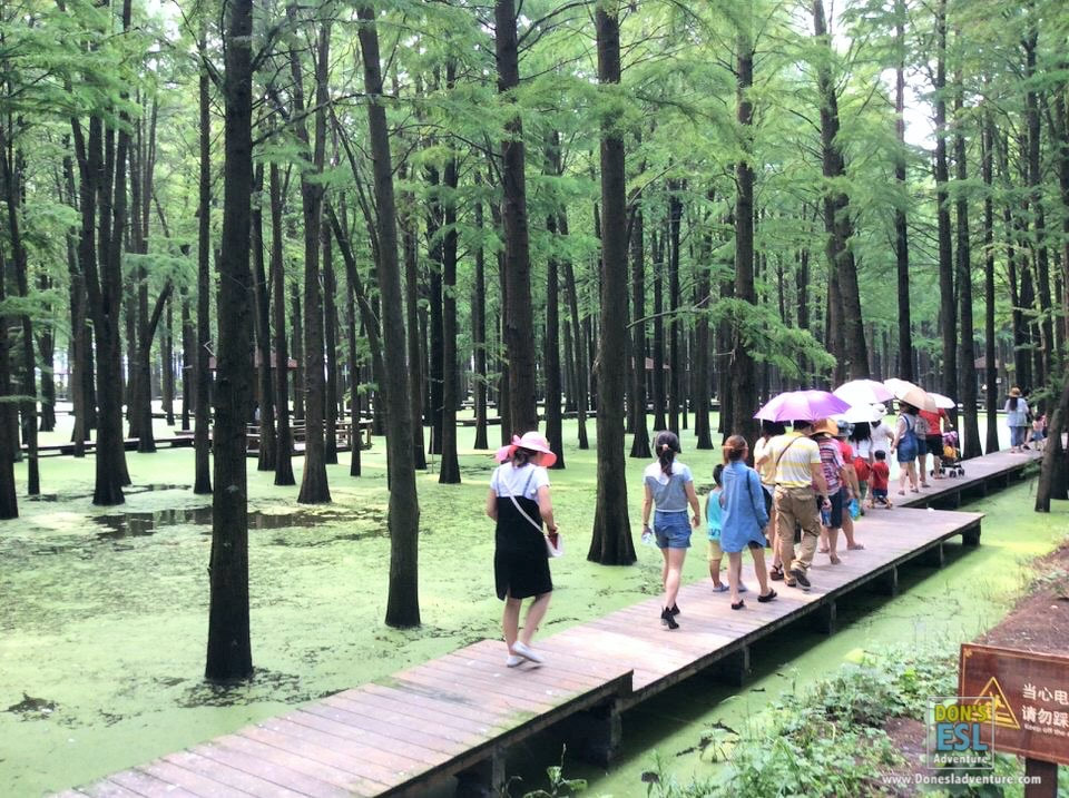 Lizhong Water Forest Scenic Spot, Taizhou | Don's ESL Adventure!