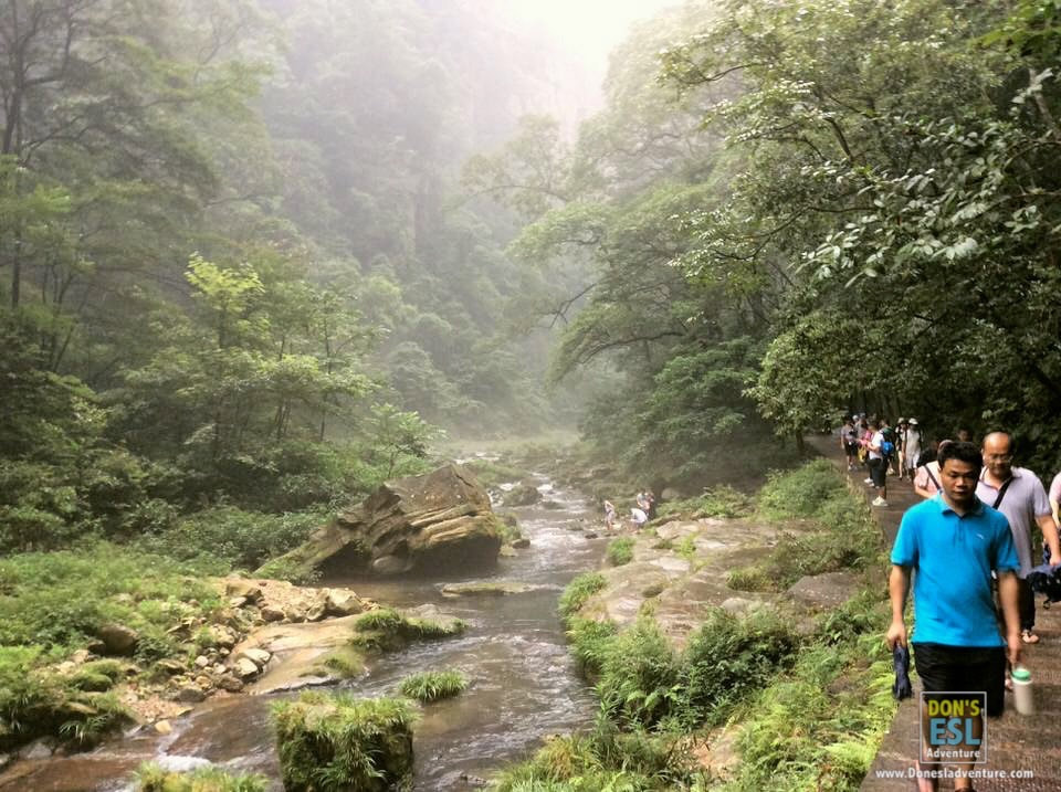 "Avatar" Mountains, Zhangjiajie | Don's ESL Adventure!