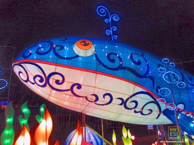 Shanghai Lantern Festival | Don's ESL Adventure!