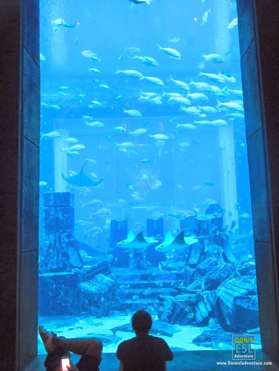 Day 2 in Dubai: Inside Atlantis the Palm's Lost Chambers Aquarium | Don's ESL Adventure! 