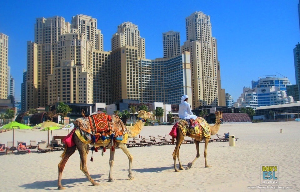 Destination Dubai: Marinas, Beaches & the Hottest Water I Ever Swam In | Don's ESL Adventure!