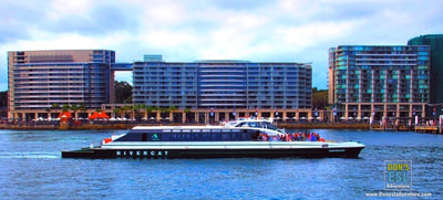 Circular Quay, Sydney, Australia | Don's ESL Adventure!