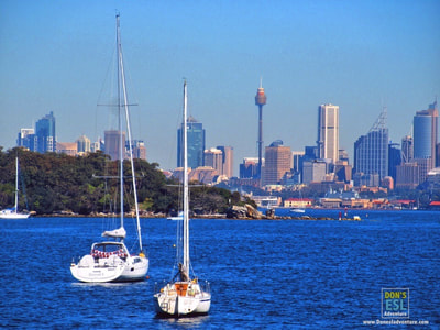 Destination Sydney: Seaplanes Above the City & Whale Watching Adventures!